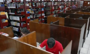 Conclusão é de estudo do Interdisciplinaridade e Evidências no Debate