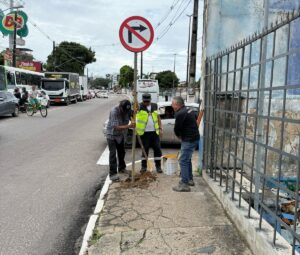 Fotos – Divulgação / IMMU