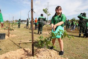 Fotos – Arquivo/Semcom